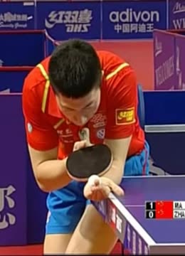 重庆铜梁龙 重庆铜梁龙